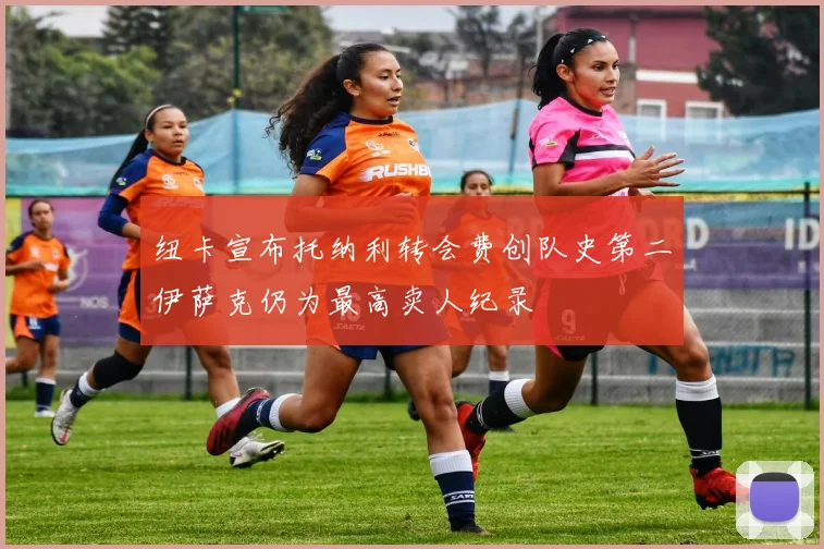 纽卡宣布托纳利转会费创队史第二伊萨克仍为最高卖人纪录
